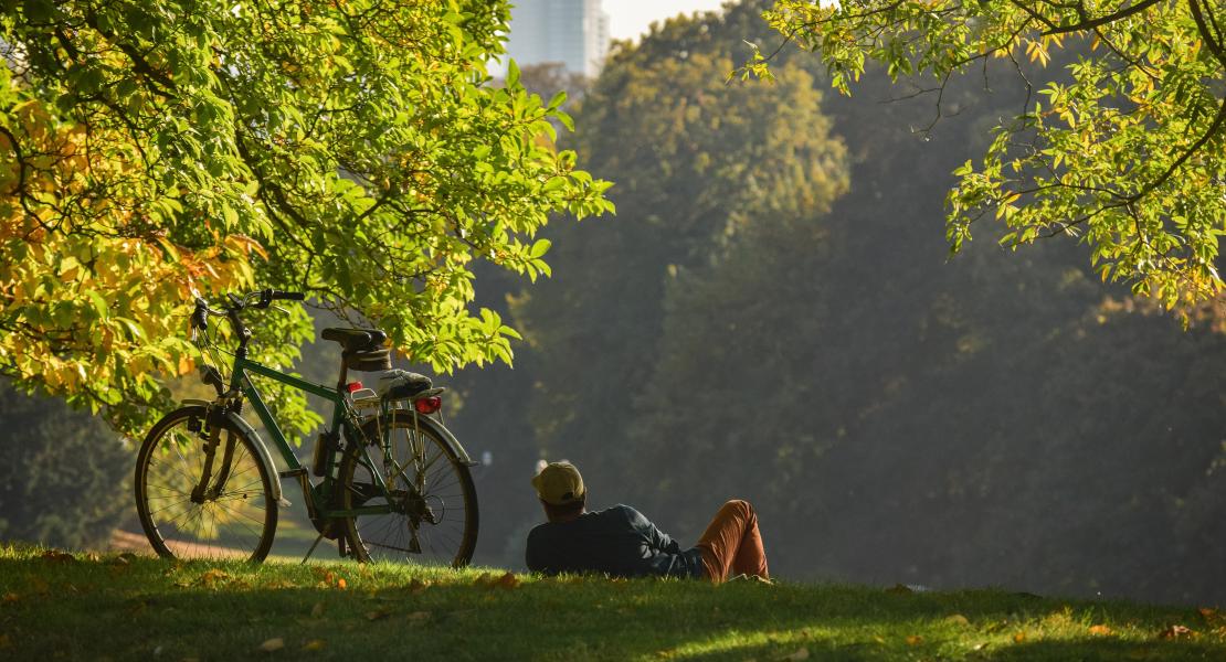 Brussels - Best City to Live In