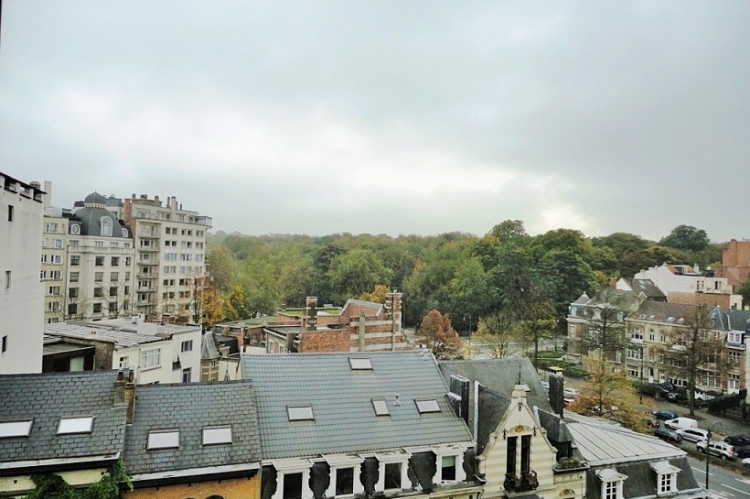 Apartment, Brussels, Bedrooms: 1