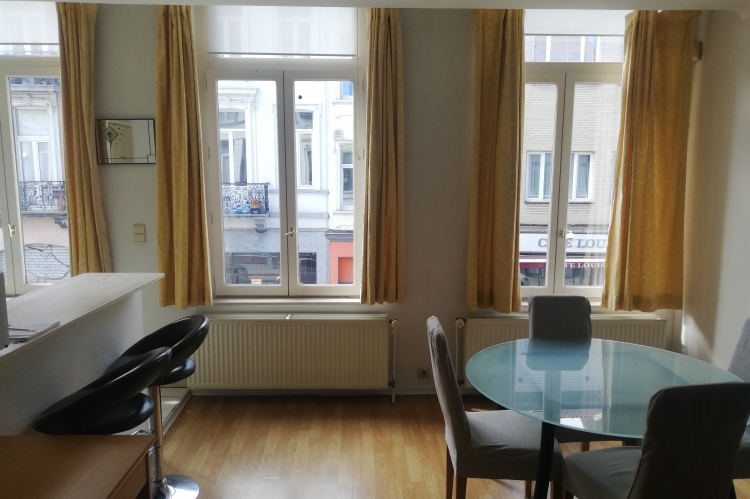 Apartment, Brussels, Bedrooms: 1