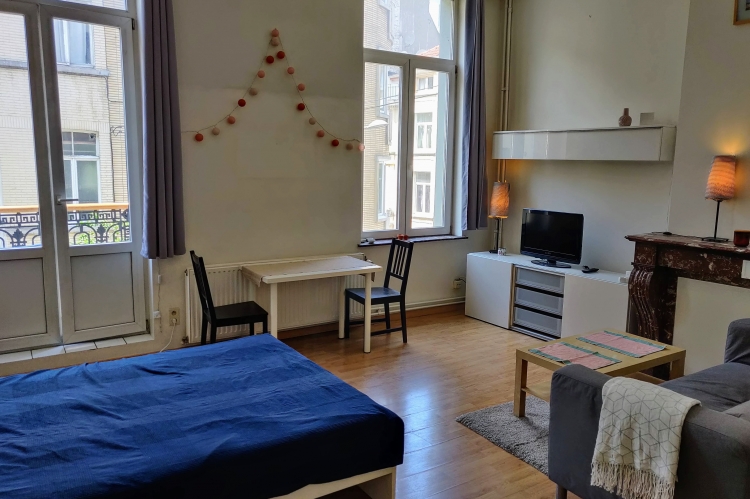 Apartment, Brussels, Bedrooms: 1