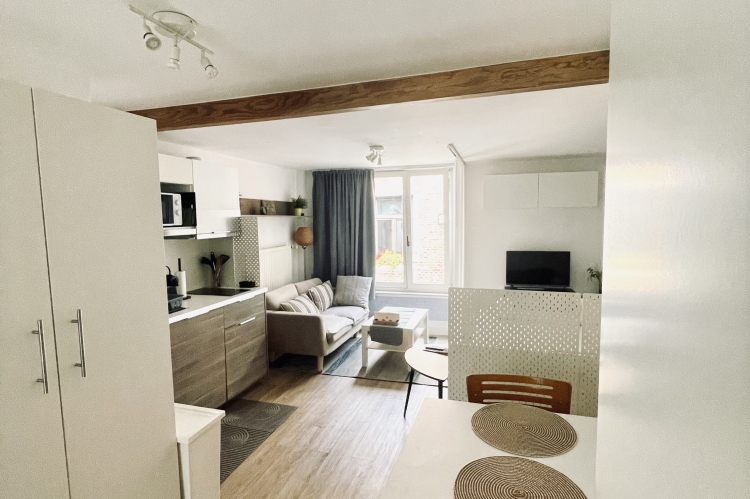 Apartment, Brussels, Bedrooms: 1